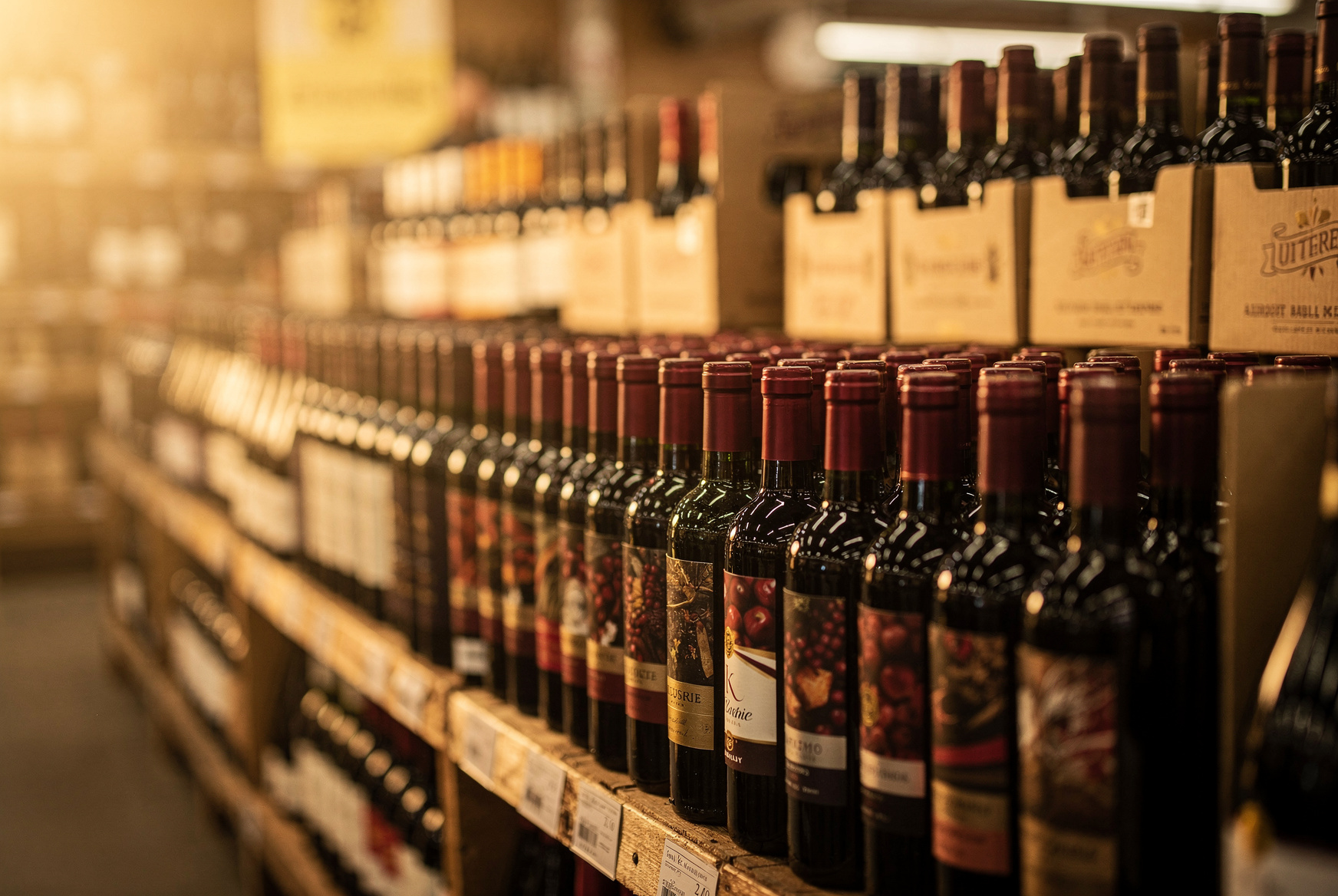 Rayon de bouteilles de vin rouge aligné pendant la foire aux vins d’automne